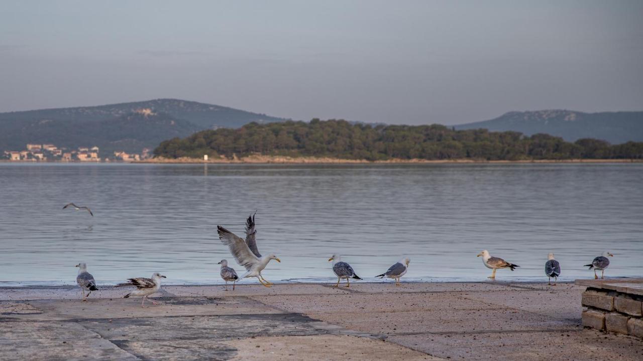 Apartmani Dina Biograd Na Moru Luaran gambar