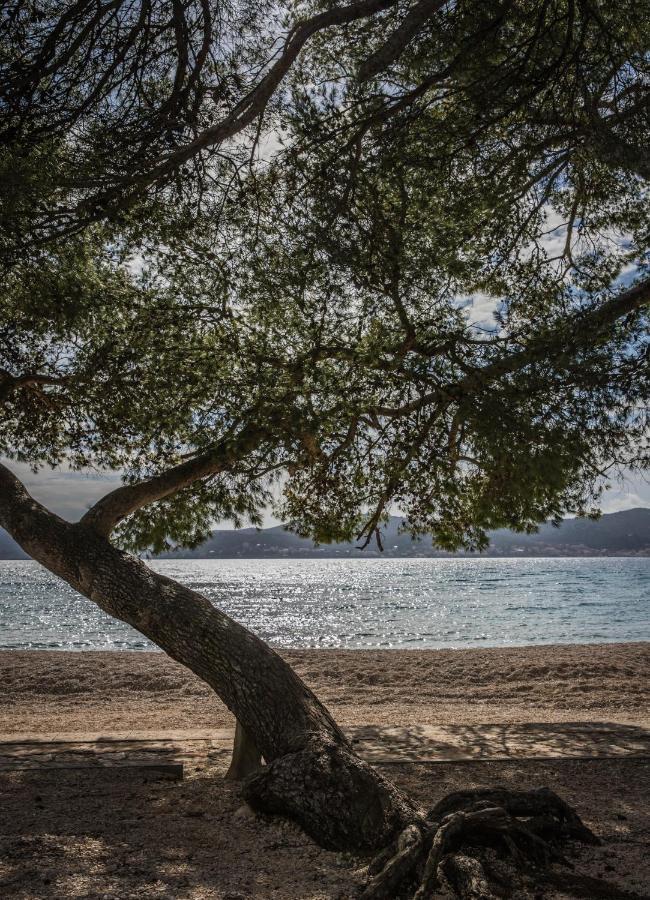 Apartmani Dina Biograd Na Moru Luaran gambar