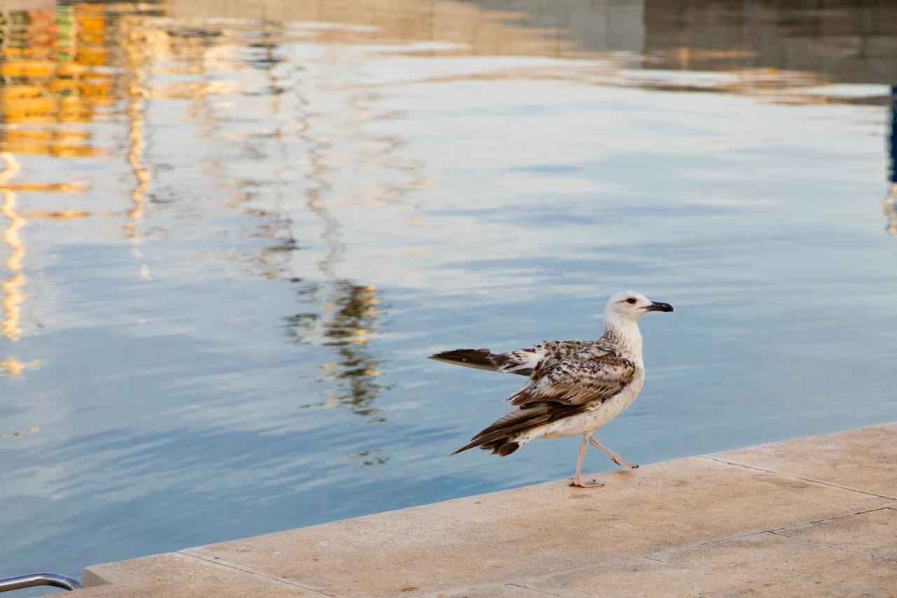 Apartmani Dina Biograd Na Moru Luaran gambar